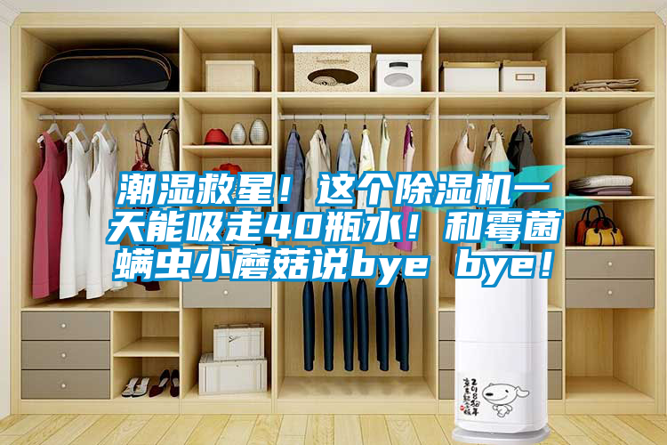 潮濕救星！這個(gè)除濕機(jī)一天能吸走40瓶水！和霉菌螨蟲(chóng)小蘑菇說(shuō)bye bye！