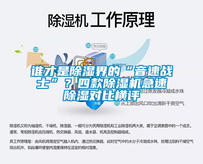 誰才是除濕界的“音速戰(zhàn)士”？四款除濕機急速除濕對比橫評