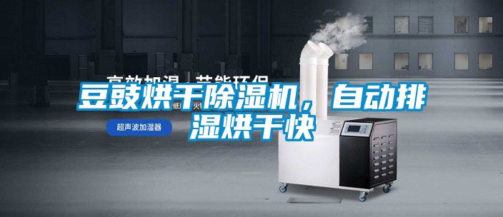 豆豉烘干除濕機，自動排濕烘干快