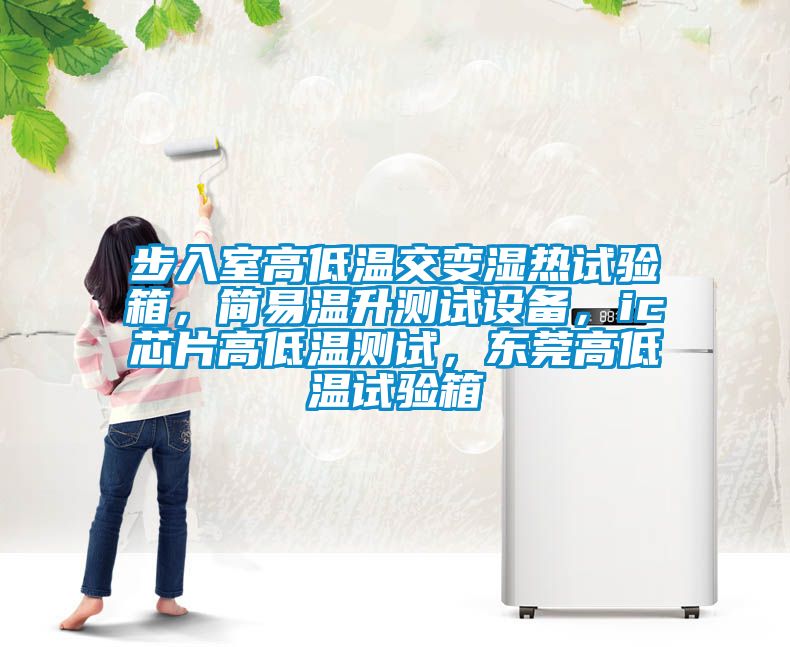 步入室高低溫交變濕熱試驗箱，簡易溫升測試設備，ic芯片高低溫測試，東莞高低溫試驗箱