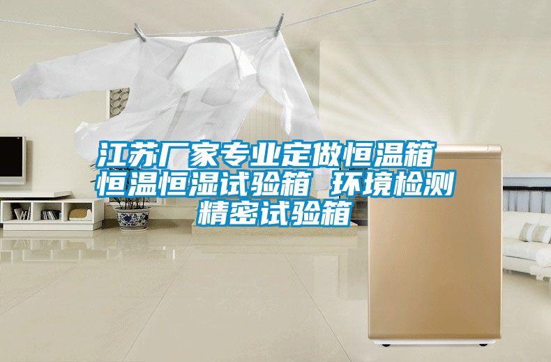 江蘇廠家專業(yè)定做恒溫箱 恒溫恒濕試驗(yàn)箱 環(huán)境檢測精密試驗(yàn)箱