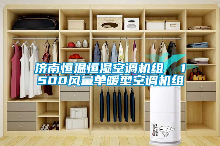 濟南恒溫恒濕空調(diào)機組  1500風(fēng)量單暖型空調(diào)機組
