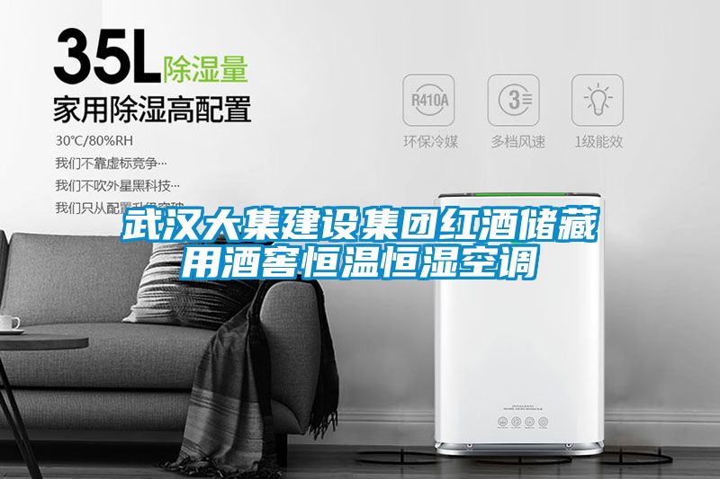 武漢大集建設(shè)集團(tuán)紅酒儲藏用酒窖恒溫恒濕空調(diào)