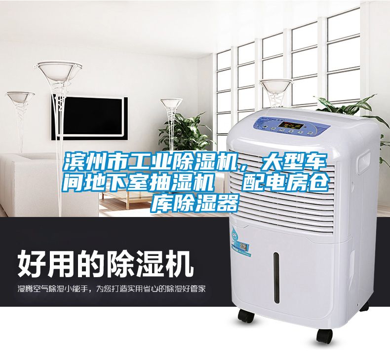 濱州市工業(yè)除濕機(jī)，大型車(chē)間地下室抽濕機(jī)  配電房倉(cāng)庫(kù)除濕器