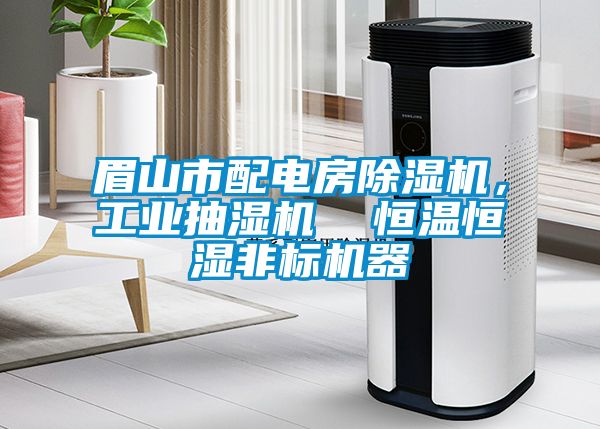 眉山市配電房除濕機，工業抽濕機  恒溫恒濕非標機器