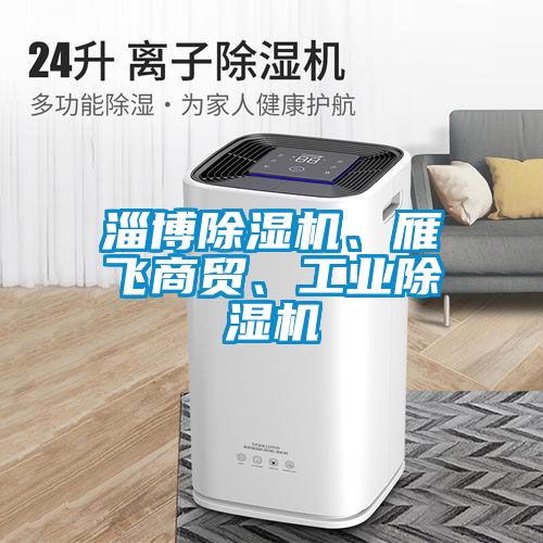 淄博除濕機、雁飛商貿、工業除濕機