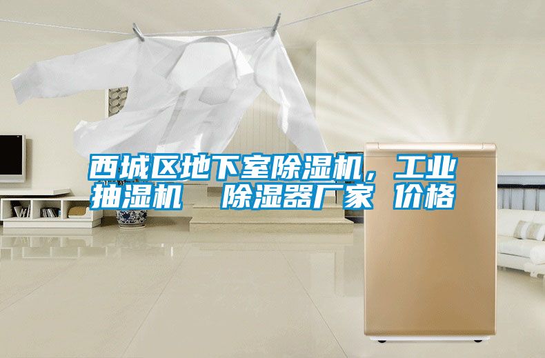 西城區(qū)地下室除濕機(jī)，工業(yè)抽濕機(jī)  除濕器廠家 價(jià)格