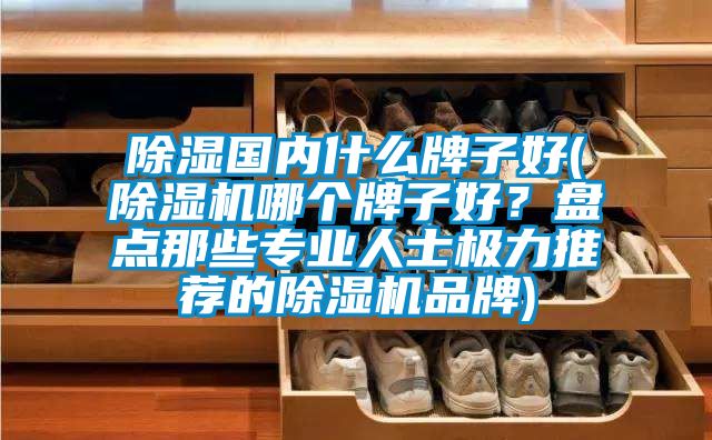 除濕國內什么牌子好(除濕機哪個牌子好？盤點那些專業人士極力推薦的除濕機品牌)