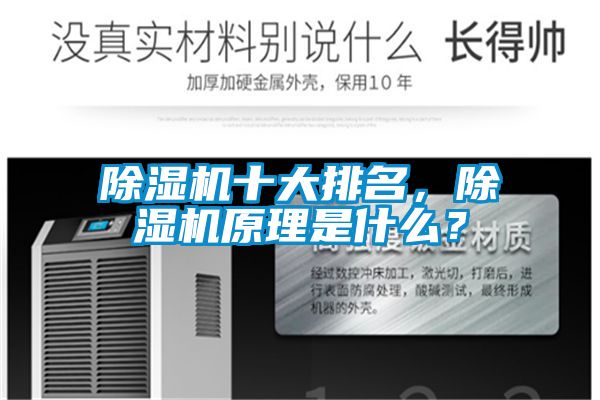 除濕機(jī)十大排名，除濕機(jī)原理是什么？