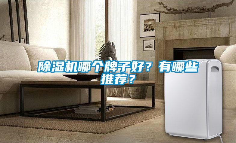 除濕機(jī)哪個(gè)牌子好？有哪些推薦？