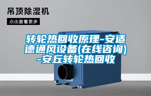 轉(zhuǎn)輪熱回收原理-安適德通風(fēng)設(shè)備(在線(xiàn)咨詢(xún))-安丘轉(zhuǎn)輪熱回收