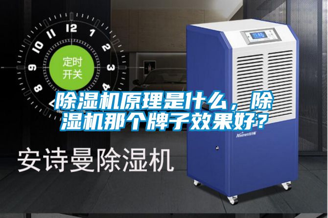 除濕機(jī)原理是什么，除濕機(jī)那個(gè)牌子效果好？