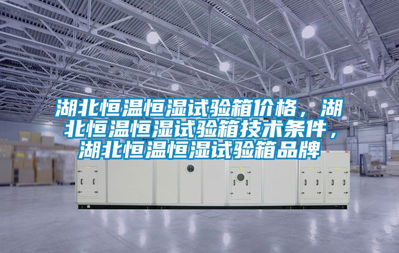 湖北恒溫恒濕試驗箱價格，湖北恒溫恒濕試驗箱技術條件，湖北恒溫恒濕試驗箱品牌