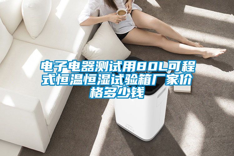 電子電器測試用80L可程式恒溫恒濕試驗(yàn)箱廠家價格多少錢