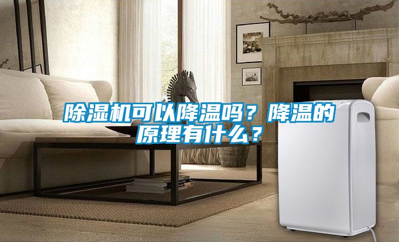 除濕機(jī)可以降溫嗎？降溫的原理有什么？