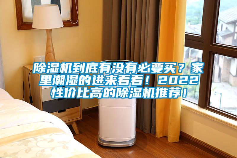 除濕機到底有沒有必要買？家里潮濕的進來看看！2022性價比高的除濕機推薦！