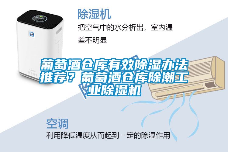 葡萄酒倉庫有效除濕辦法推薦？葡萄酒倉庫除潮工業除濕機