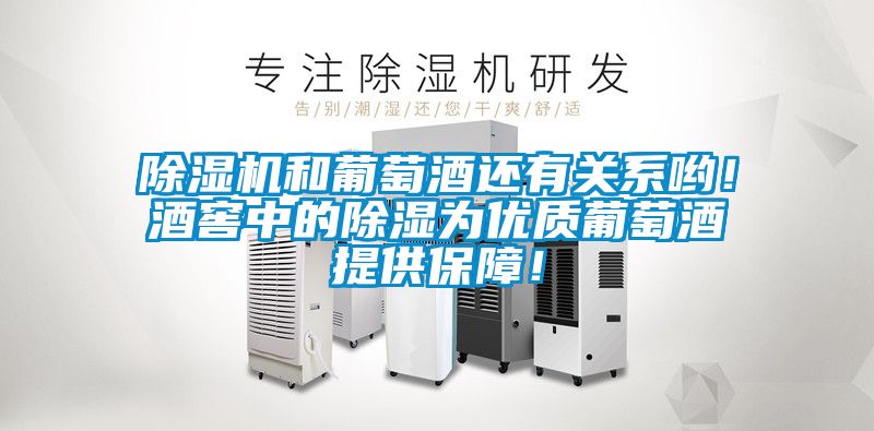 除濕機(jī)和葡萄酒還有關(guān)系喲！酒窖中的除濕為優(yōu)質(zhì)葡萄酒提供保障！