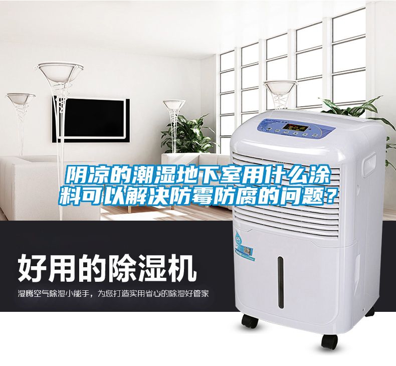 陰涼的潮濕地下室用什么涂料可以解決防霉防腐的問題？