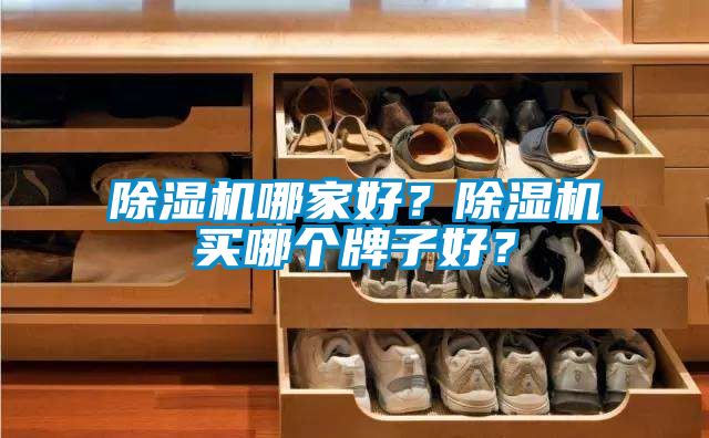 除濕機哪家好？除濕機買哪個牌子好？