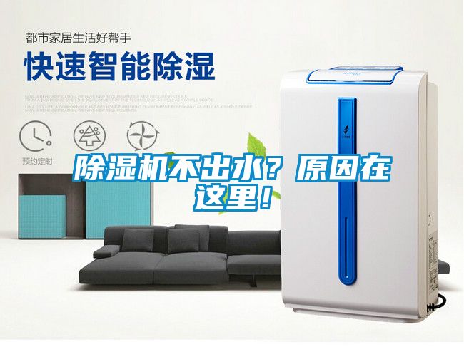 除濕機不出水？原因在這里！