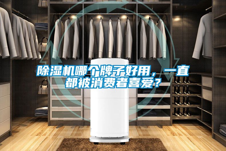 除濕機(jī)哪個(gè)牌子好用，一直都被消費(fèi)者喜愛？