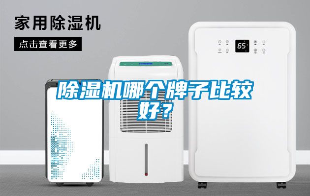 除濕機哪個牌子比較好？