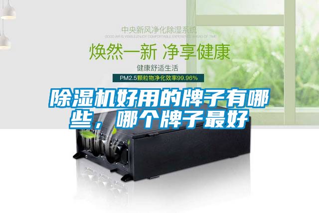 除濕機好用的牌子有哪些，哪個牌子最好