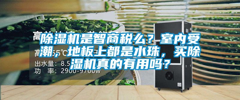 除濕機(jī)是智商稅么？室內(nèi)受潮，地板上都是水珠，買除濕機(jī)真的有用嗎？
