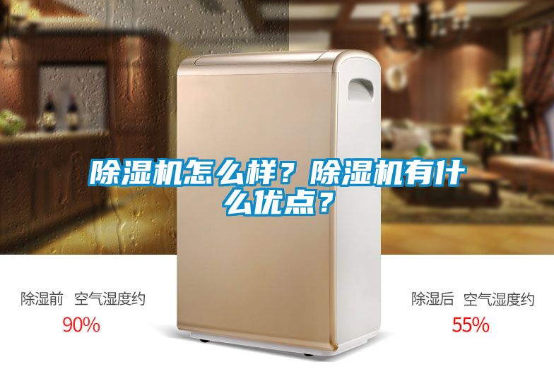 除濕機(jī)怎么樣？除濕機(jī)有什么優(yōu)點(diǎn)？