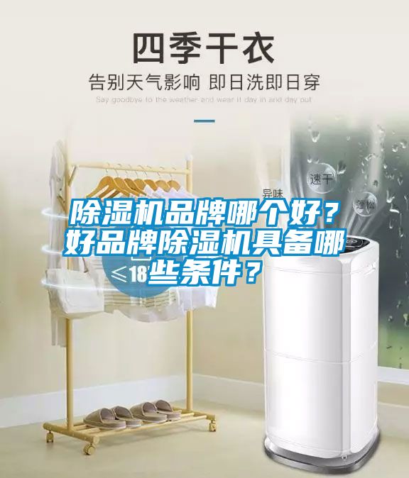 除濕機(jī)品牌哪個(gè)好？好品牌除濕機(jī)具備哪些條件？