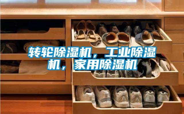 轉輪除濕機，工業(yè)除濕機，家用除濕機