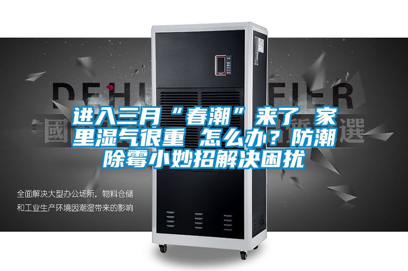 進入三月“春潮”來了 家里濕氣很重 怎么辦？防潮除霉小妙招解決困擾