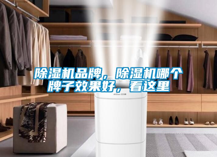 除濕機品牌，除濕機哪個牌子效果好，看這里