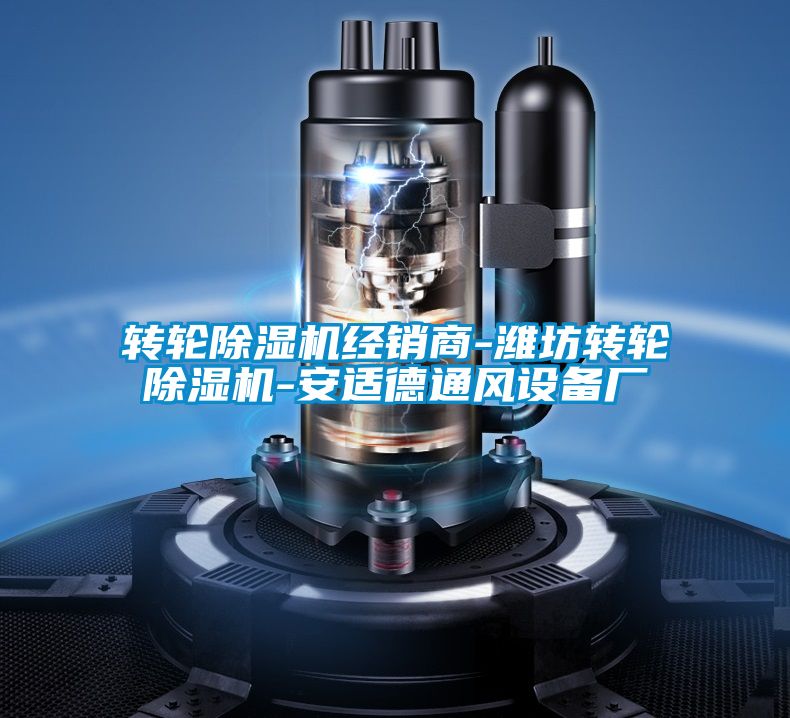 轉(zhuǎn)輪除濕機(jī)經(jīng)銷(xiāo)商-濰坊轉(zhuǎn)輪除濕機(jī)-安適德通風(fēng)設(shè)備廠