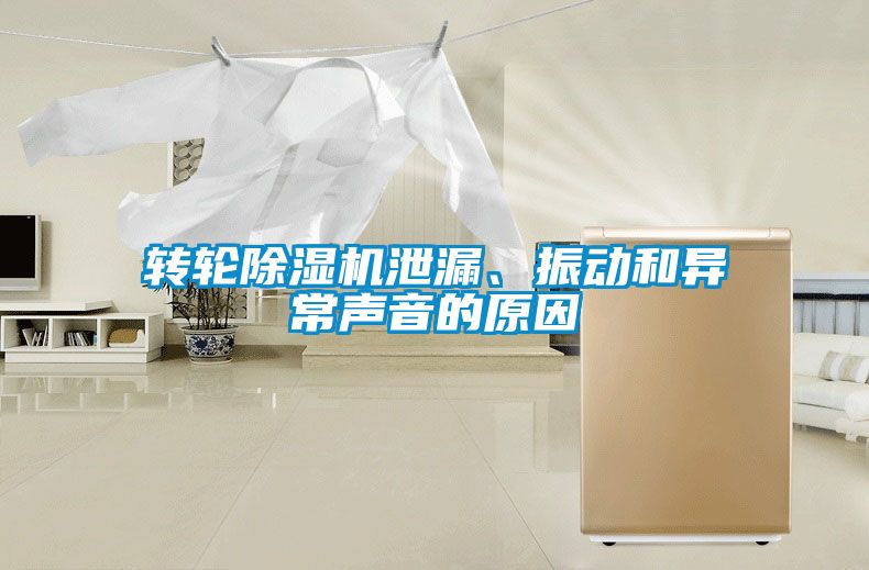 轉(zhuǎn)輪除濕機泄漏、振動和異常聲音的原因