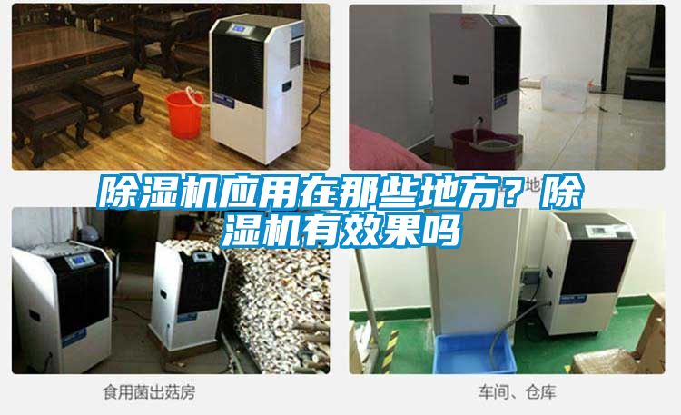 除濕機應用在那些地方？除濕機有效果嗎