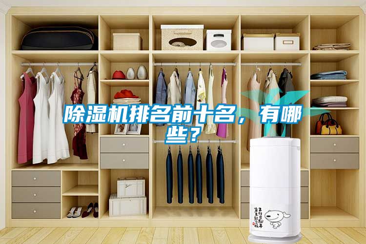 除濕機(jī)排名前十名，有哪些？