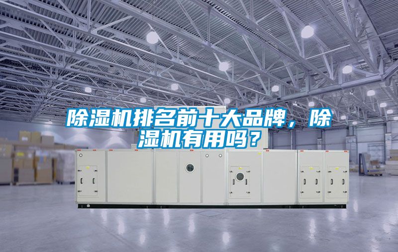 除濕機(jī)排名前十大品牌，除濕機(jī)有用嗎？