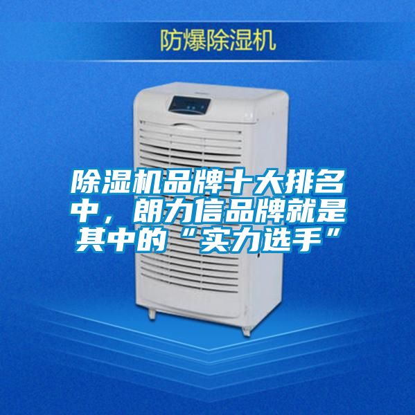 除濕機品牌十大排名中，朗力信品牌就是其中的“實力選手”