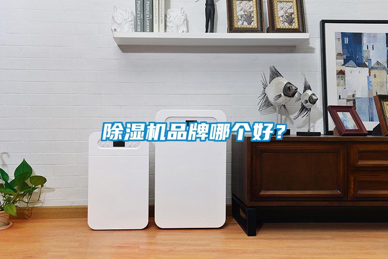 除濕機品牌哪個好？
