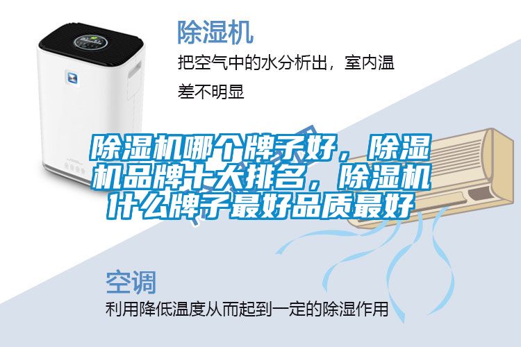除濕機哪個牌子好，除濕機品牌十大排名，除濕機什么牌子最好品質最好