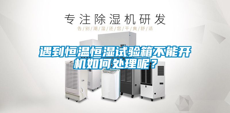遇到恒溫恒濕試驗(yàn)箱不能開機(jī)如何處理呢？