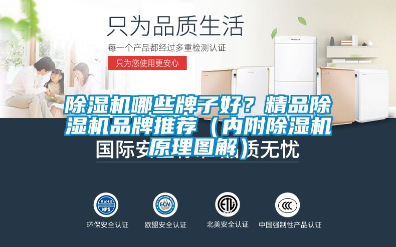 除濕機哪些牌子好？精品除濕機品牌推薦（內(nèi)附除濕機原理圖解）