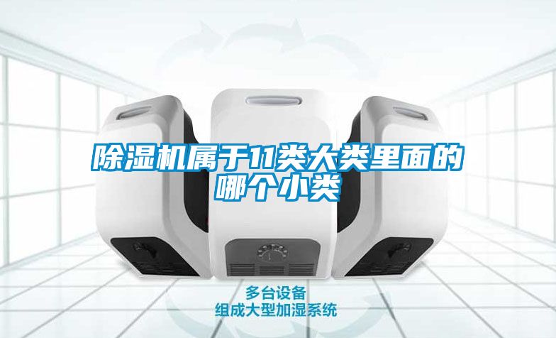 除濕機(jī)屬于11類大類里面的哪個小類