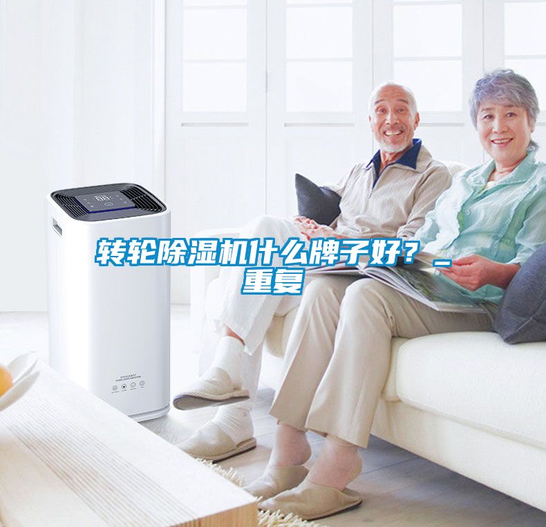 轉輪除濕機什么牌子好？_重復