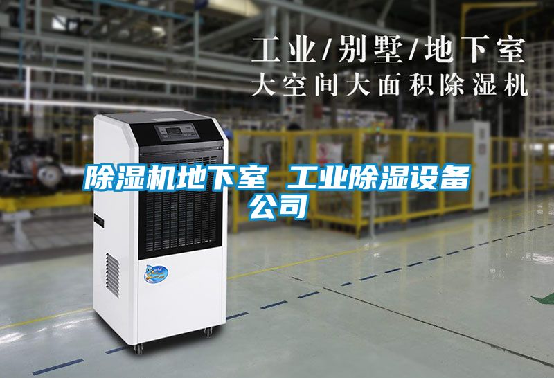 除濕機地下室 工業(yè)除濕設(shè)備公司