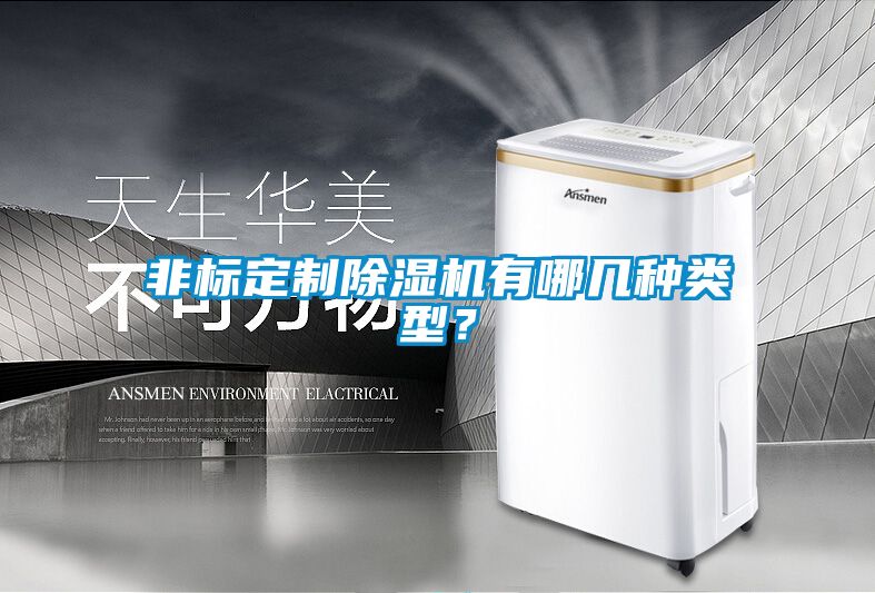 非標(biāo)定制除濕機(jī)有哪幾種類型？