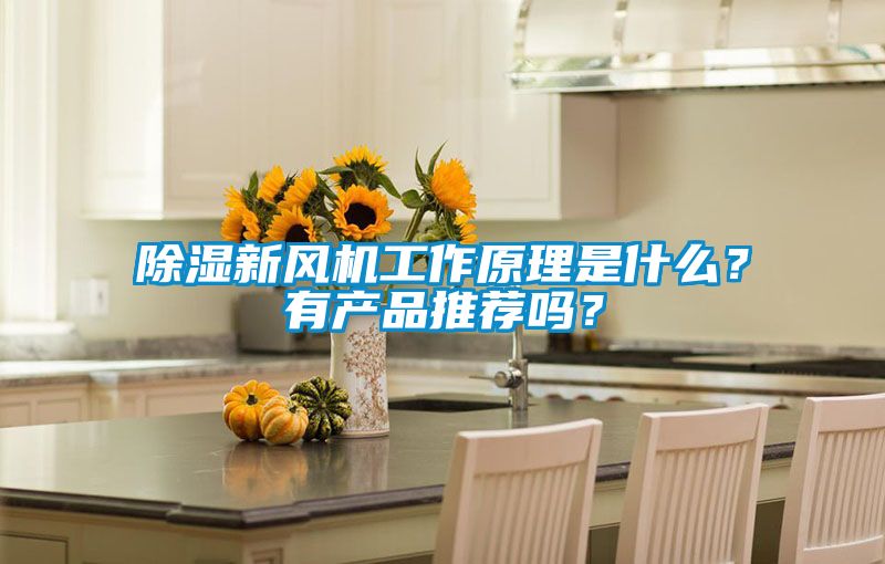 除濕新風機工作原理是什么？有產品推薦嗎？