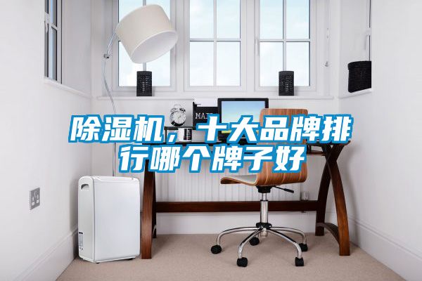 除濕機(jī)，十大品牌排行哪個(gè)牌子好